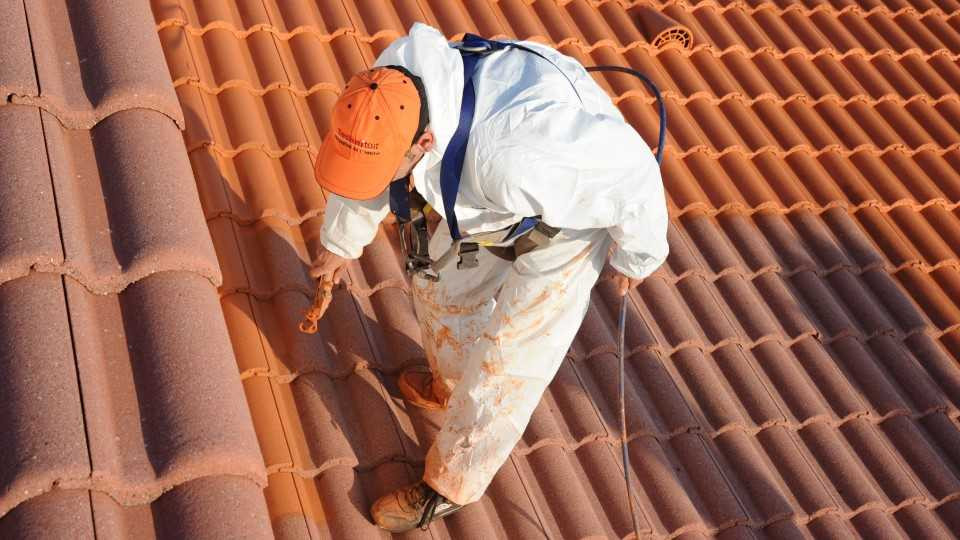 Réalisation : démoussage de toiture envahie par la mousse